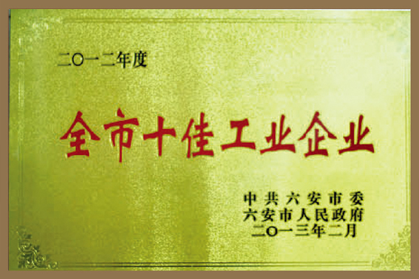 集團被六安市委、市政府評為“全市十佳工業(yè)企業(yè)”。