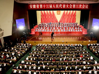 星星集團(tuán)黨委書記、董事長(zhǎng)管傳玉參加安徽省第十三屆人民代表大會(huì)